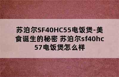 苏泊尔SF40HC55电饭煲-美食诞生的秘密 苏泊尔sf40hc57电饭煲怎么样